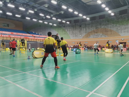 2019川崎慈善杯暨九天網(wǎng)羽羽毛球團體邀請賽 網(wǎng)絡競技與公益交融的盛會圓滿成功